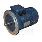 TEC Flange mountable electric motor